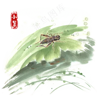 小暑绿叶上的蛐蛐