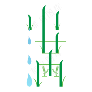 创意字艺术字小满节气二十四节气设计创意