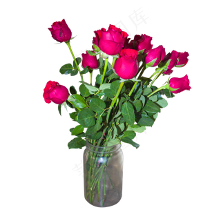 花瓶里的红色玫瑰