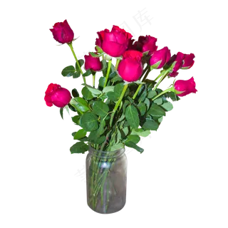 花瓶里的红色玫瑰