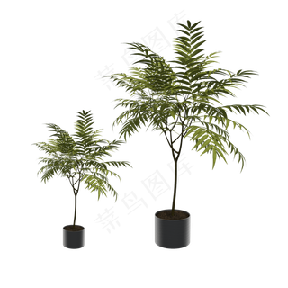 立体长叶子C4D盆栽插图