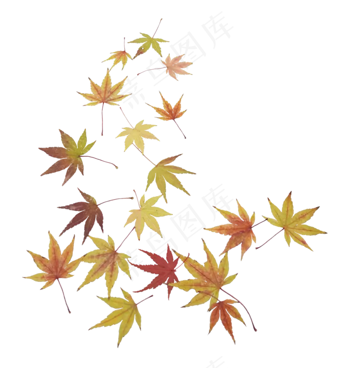 秋天落叶枫叶(3449*3661px 300 dpi )