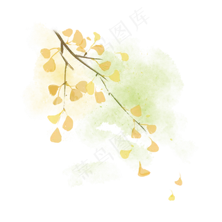 中国风水彩水墨金色的银杏
