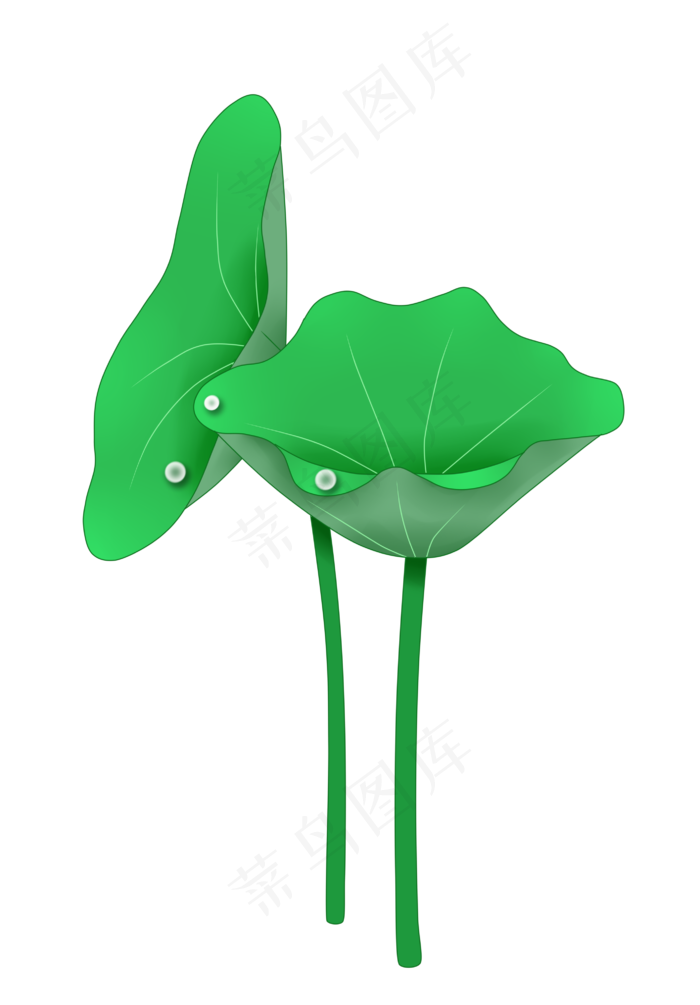 夏季荷花荷叶PNG图案