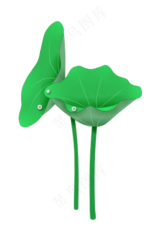 夏季荷花荷叶PNG图案