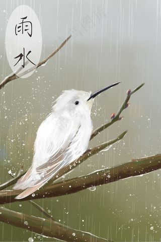 雨水-枝上白鸟-谷雨-节气