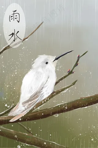 雨水-枝上白鸟-谷雨-节气