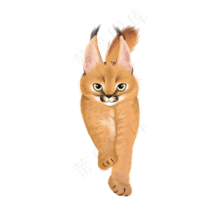 野生猫科动物狞猫,免抠元素