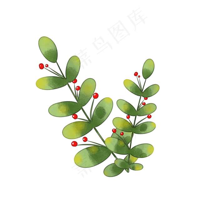 绿色植物叶子手绘水彩风透明底免(2000X2000(DPI:299))psd模版下载