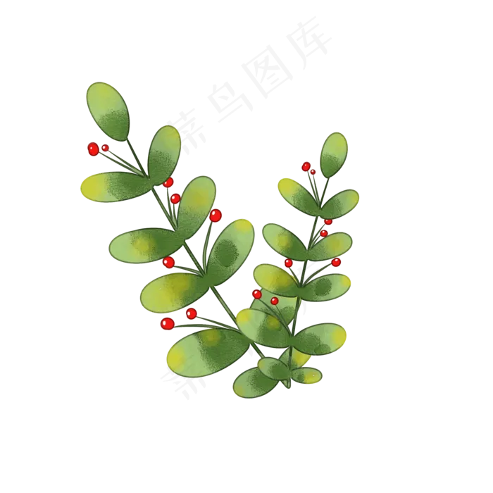 绿色植物叶子手绘水彩风透明底免(2000X2000(DPI:299))psd模版下载