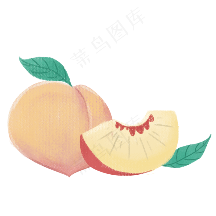手绘水果桃子插画矢量图