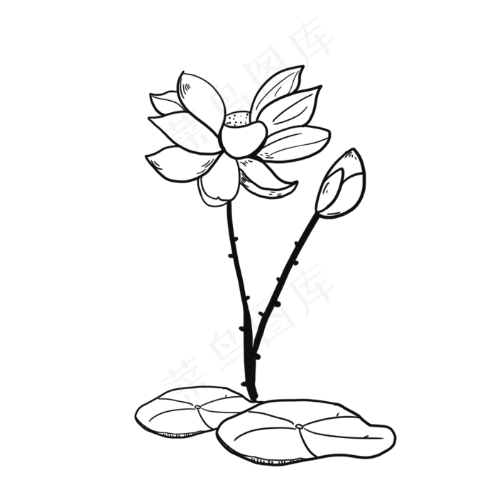 荷花儿线条草稿(2000X2000(DPI:300))psd模版下载