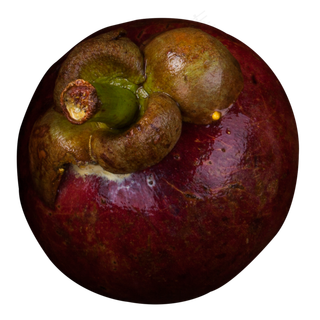 实拍果林果树水果果实