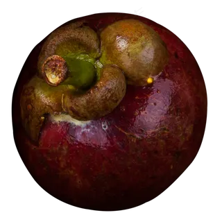 实拍果林果树水果果实