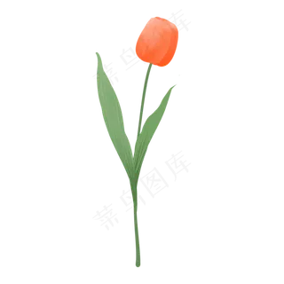 节日花束搭配单枝郁金香,免抠元素