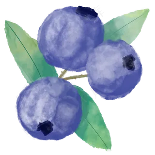 水彩风蓝莓