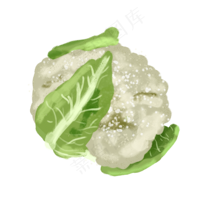 水彩小清新蔬菜水果西花菜
