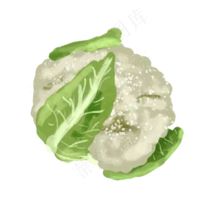 水彩小清新蔬菜水果西花菜
