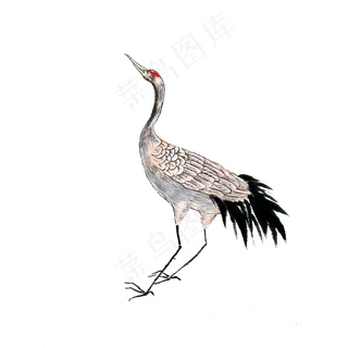 仙鹤鸟丹顶神兽坐骑水墨国画PNG,免抠元素