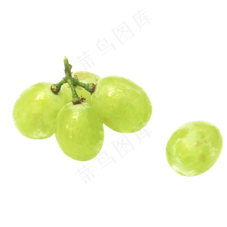 水果青提提子葡萄
