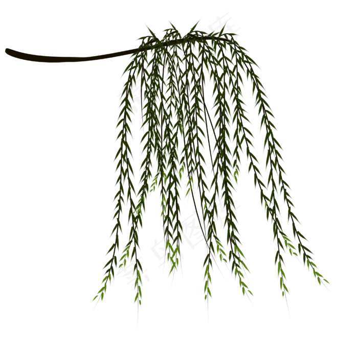 春天柳树枝发新芽(4000X4000(DPI:150))psd模版下载