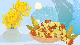 九月你好冬枣菊花