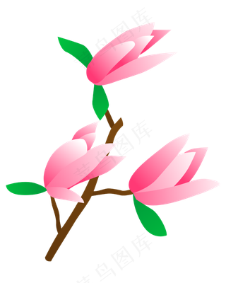矢量免扣卡通玉兰花,免抠元素