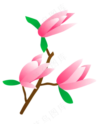 矢量免扣卡通玉兰花,免抠元素