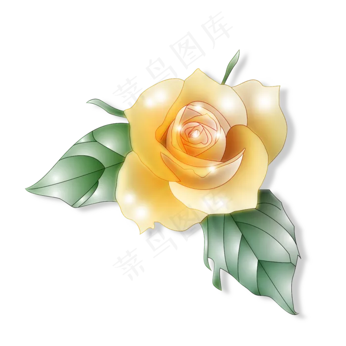 盛开的黄色玫瑰(4724X4724(DPI:300))psd模版下载