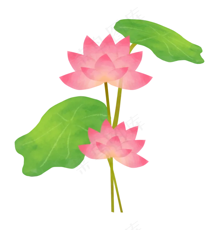 精美粉色荷花(2000X2140(DPI:300))psd模版下载