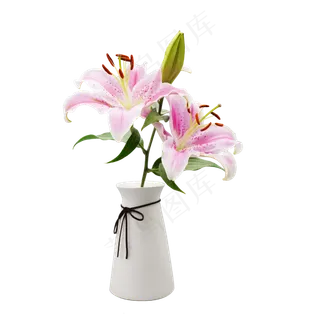 百合花花瓶摆件,免抠元素