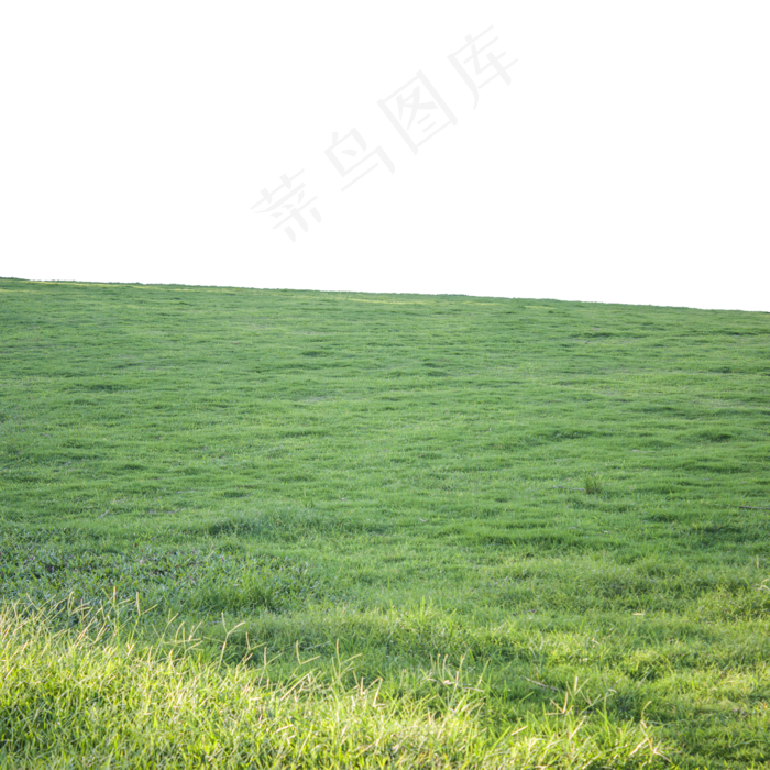 阳光下的绿色草地,免抠元素
