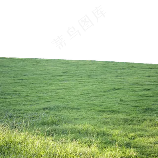 阳光下的绿色草地,免抠元素 阳光下的绿色草地,免抠元素