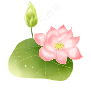 手绘荷花png素材