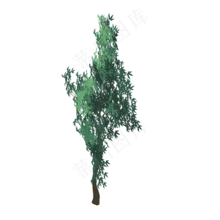 春天植物大树下载