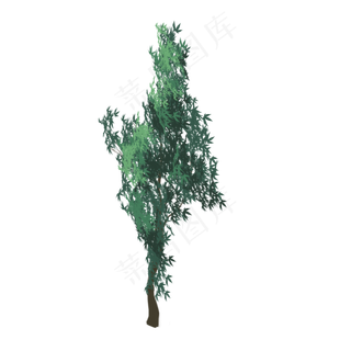 春天植物大树下载