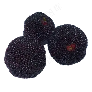 夏季新鲜水果杨梅