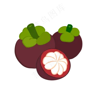 可口水果山竹矢量图