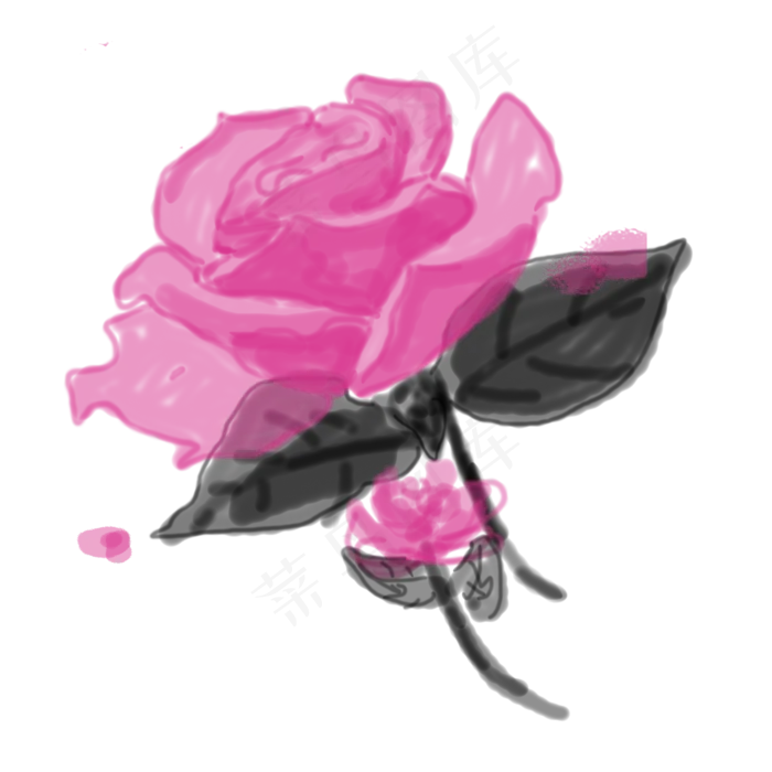 一朵带刺的手绘玫瑰花免扣图(2000X2000(DPI:300))psd模版下载