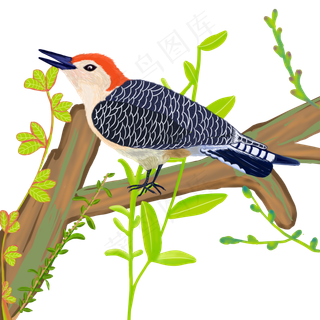 植树节新绿动物啄木鸟手绘免抠高