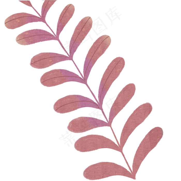 叶子自然枝叶植物(2000X2000(DPI:300))psd模版下载