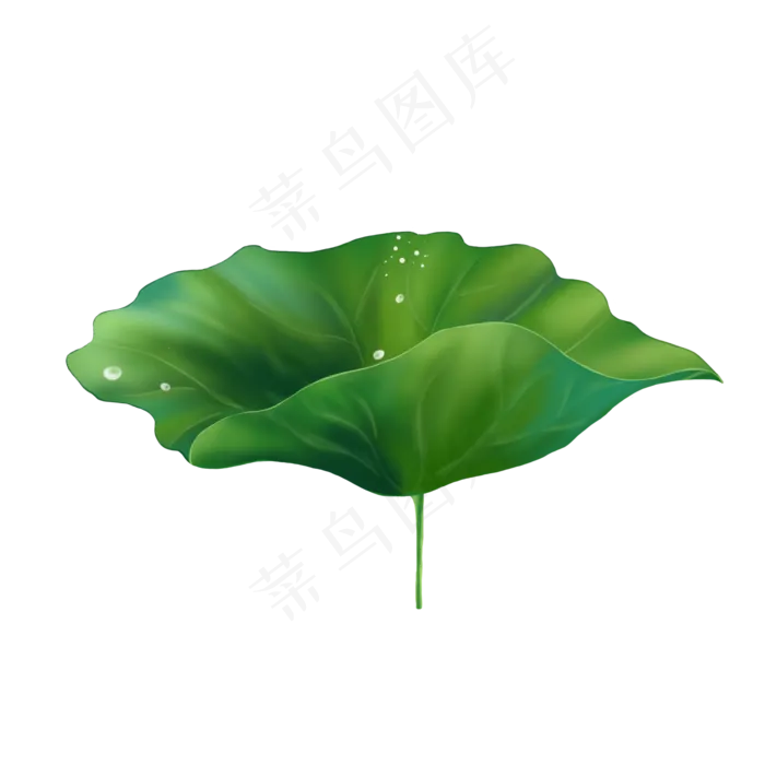 荷叶露珠,免抠元素(2000*2000px 300 dpi )psd模版下载