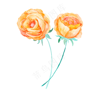 小清新手绘水彩花朵绿叶