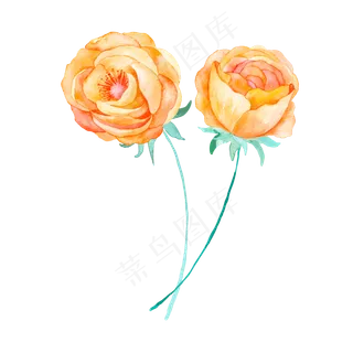 小清新手绘水彩花朵绿叶