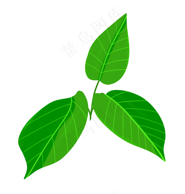 薄荷绿叶卡通插画