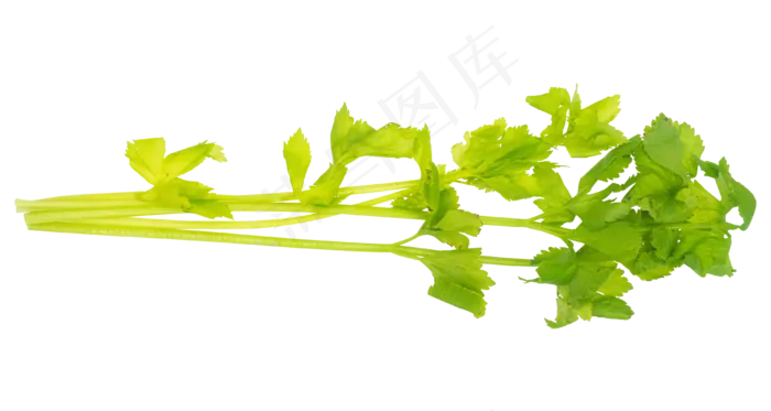 绿色蔬菜芹菜(3898*2076px 300 dpi )