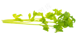 绿色蔬菜芹菜