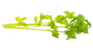 绿色蔬菜芹菜