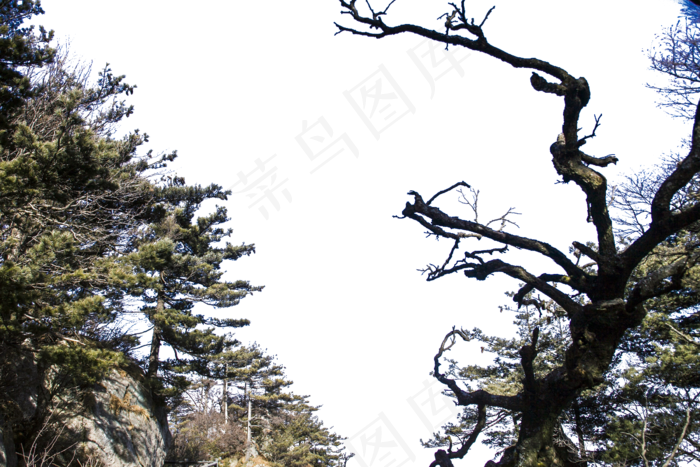 高耸如云的大山茂密的植被(2400X1600(DPI:300))psd模版下载
