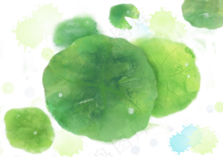 夏日荷叶水彩清新风